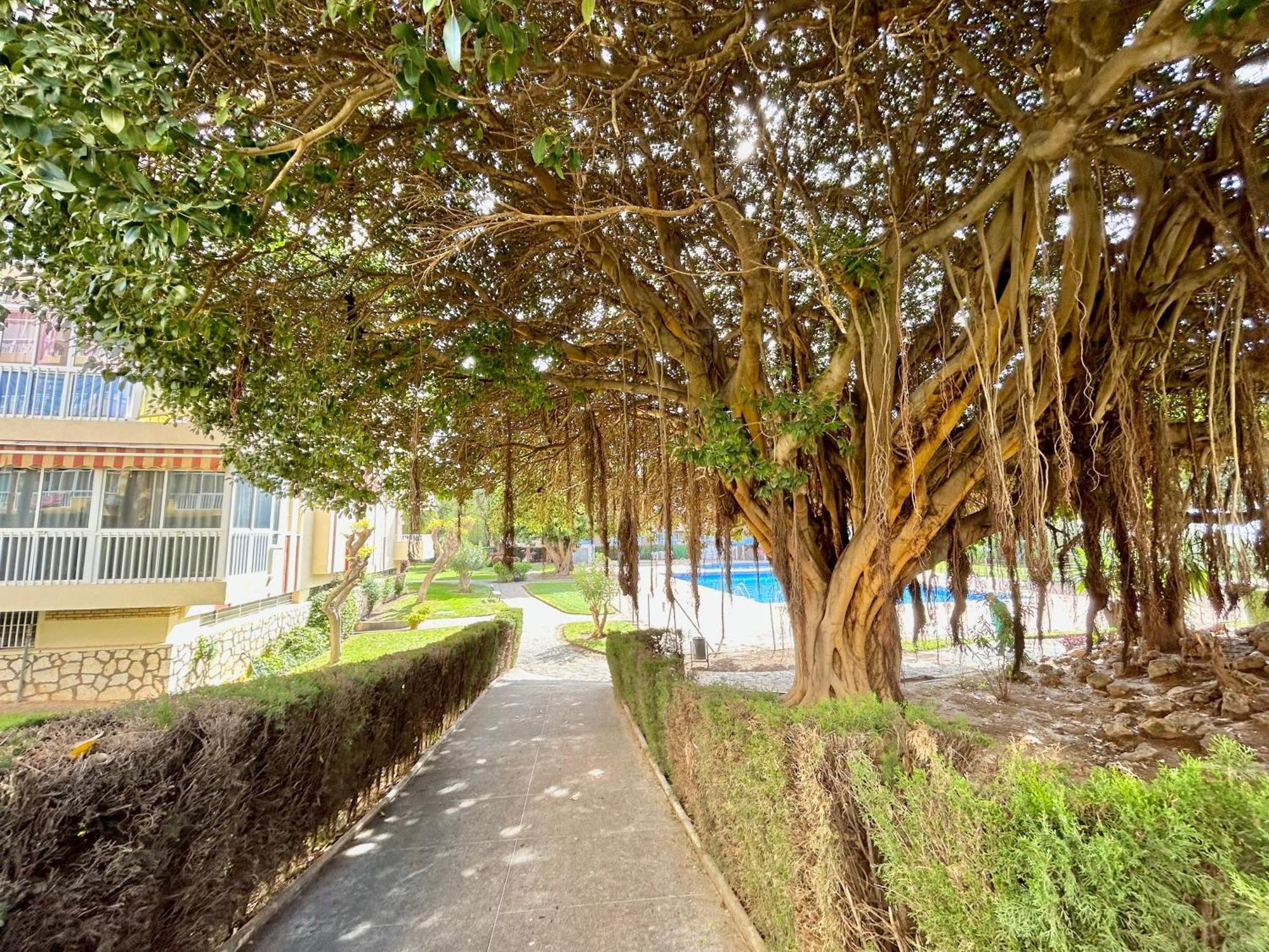 Apartamento Hoja De Palma Benalmádena Exterior foto